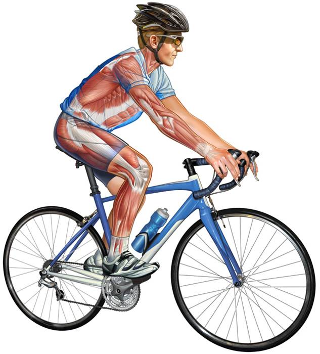 Bike Fitting Myths