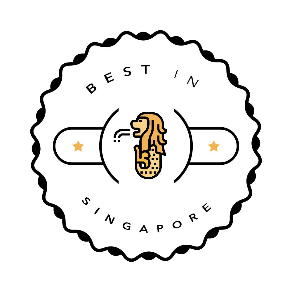 Best Physiotherapy Clinics in Singapore