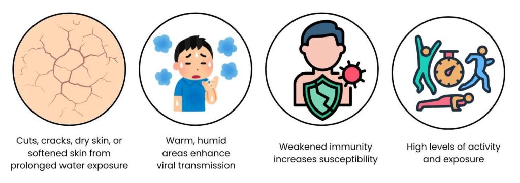 A visual representation of key risk factors for plantar warts. The first icon shows cracked, dry skin, which increases susceptibility. The second icon illustrates warm, humid environments that enhance viral transmission. The third icon represents weakened immunity, making individuals more prone to infection. The fourth icon highlights high activity levels, increasing exposure to the virus in shared spaces like gyms and swimming pools.