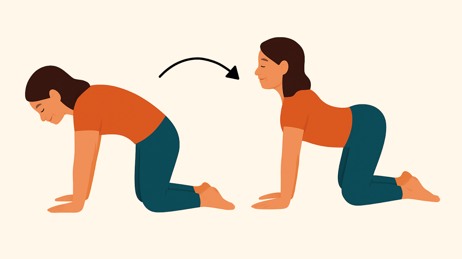 Illustration of a woman performing the cat-cow stretch, a common physio-recommended exercise to improve spinal mobility and posture.