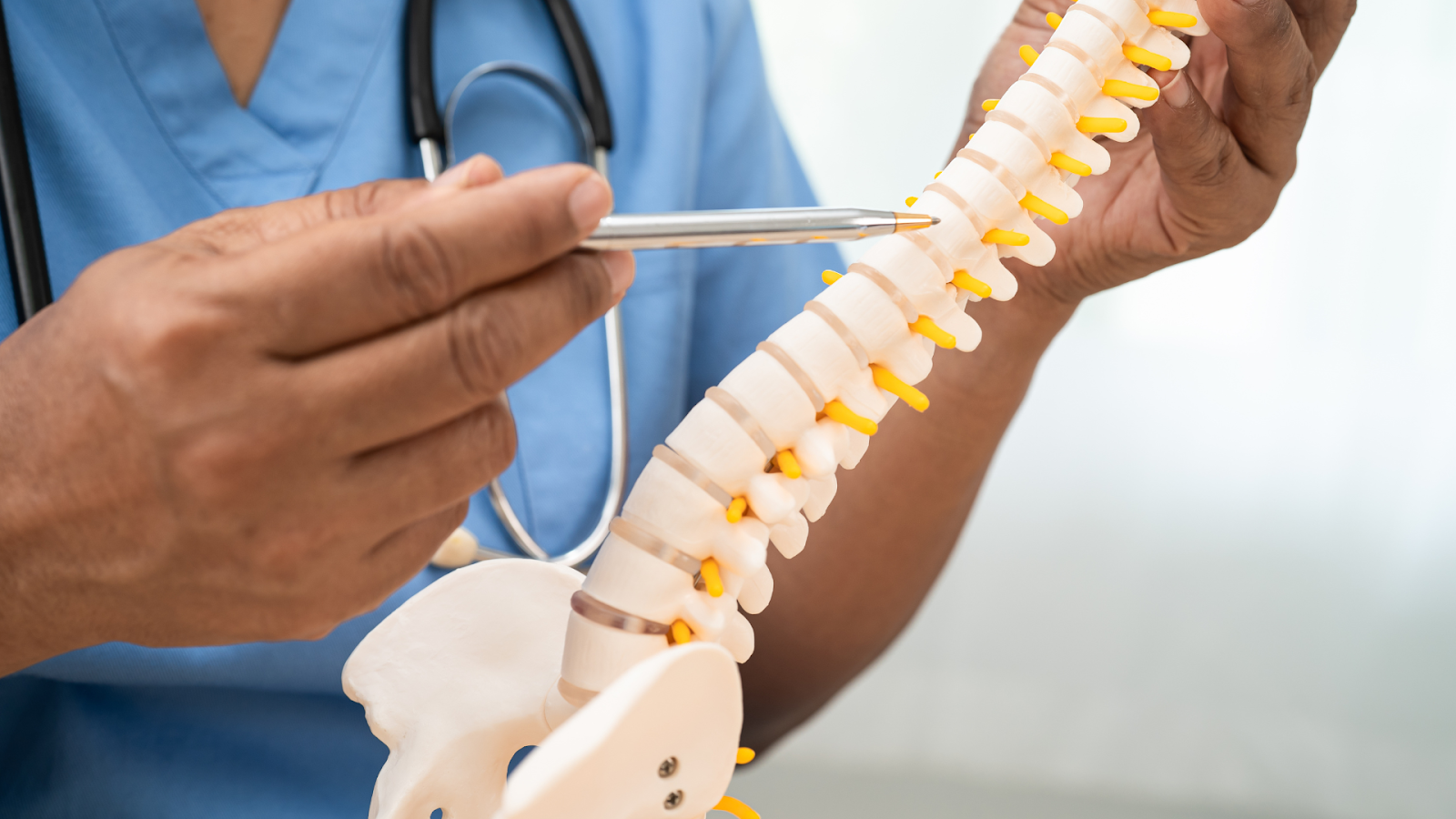 Medical professional demonstrating spinal anatomy using a plastic model of the spine and pelvis.