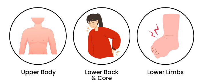 Graphic showing upper body, lower back, and lower limbs affected by pickleball