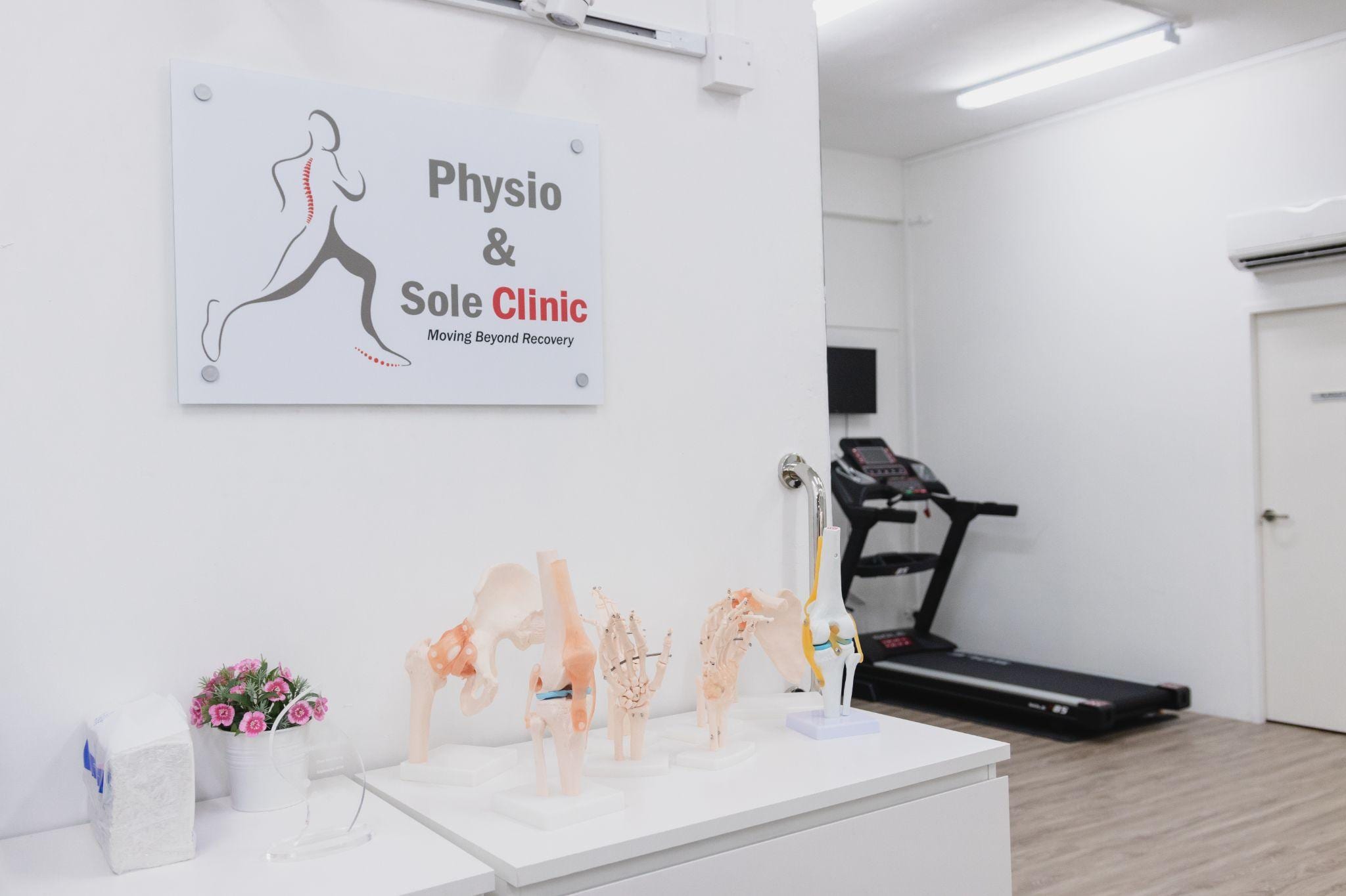 Inside a Physio & Sole Clinic branch, with anatomical models and rehabilitation equipment