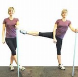Pulled Groin - Exercise - The Sole Clinic