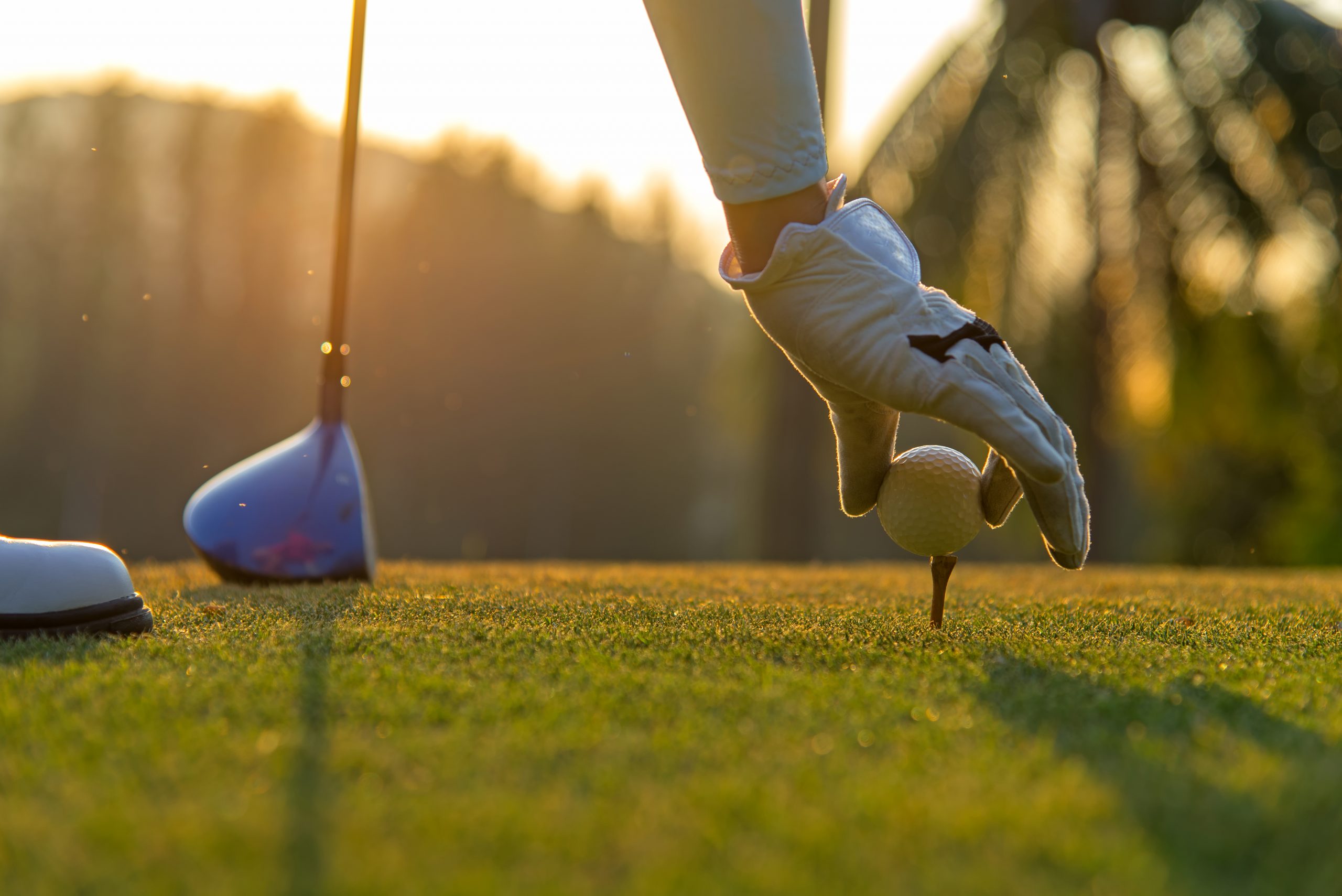 Hand asian woman putting golf ball on tee with club in golf course on evening and sunset time a for healthy sport