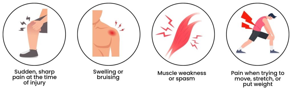 Illustration showing common muscle strain symptoms including sharp pain, swelling, muscle spasm, and pain during movement.