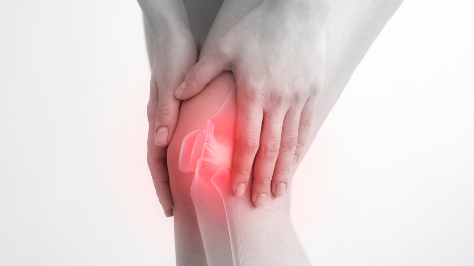 Hands holding an inflamed knee with highlighted pain area – representing Osgood-Schlatter’s Disease discomfort.