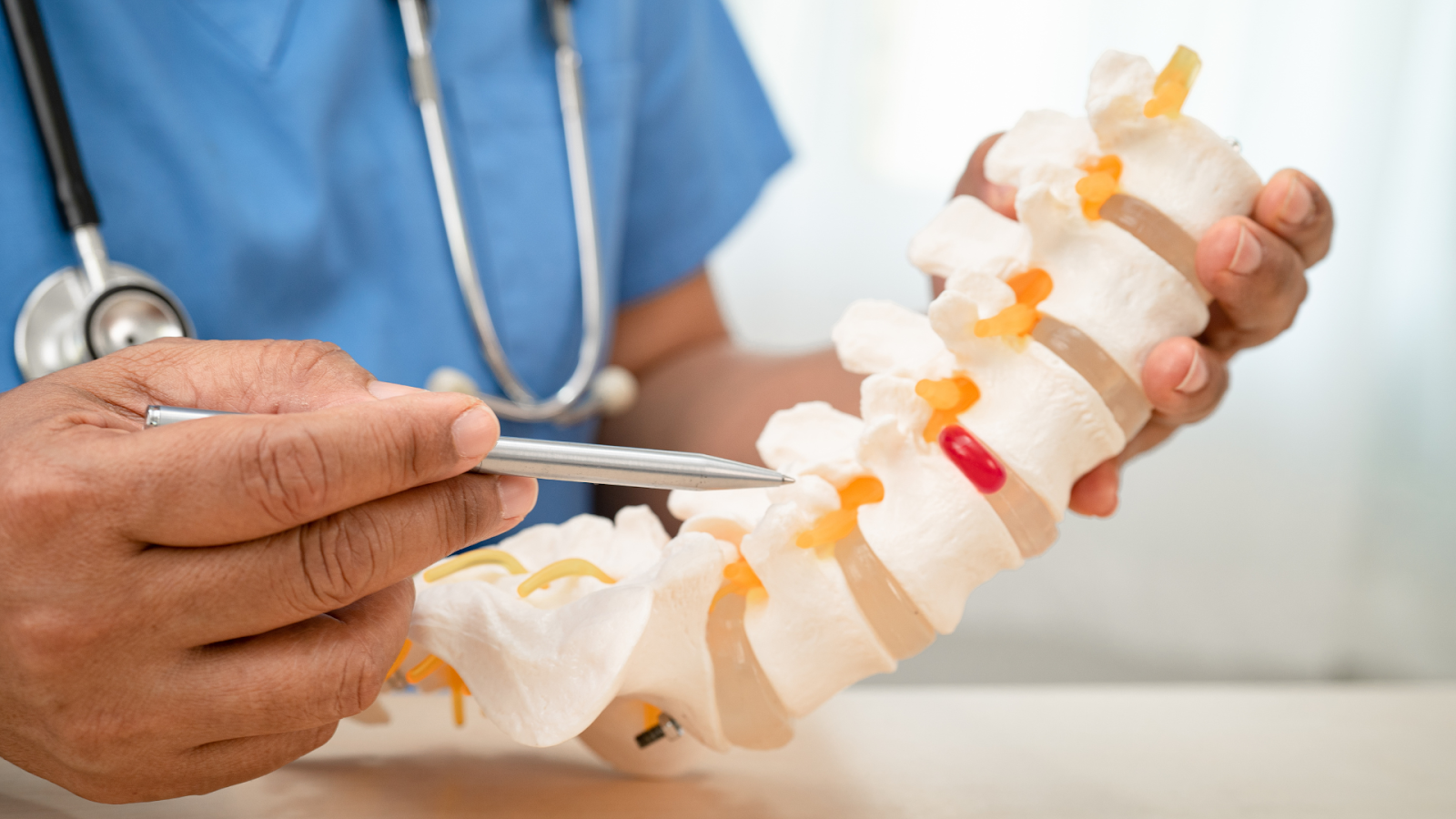Healthcare professional explaining spinal osteoporosis using a spine model